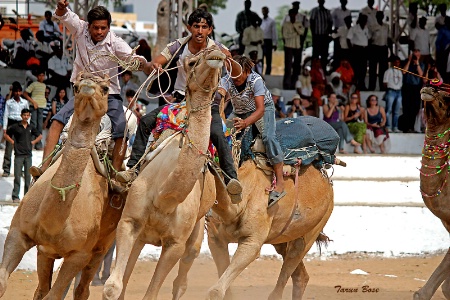 Pushkar Fair # 07.