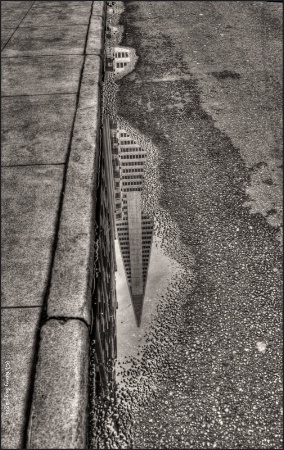 TransAmerica after the Rain