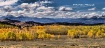 Colorful Colorado
