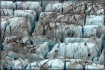 Blue Glacier Ice