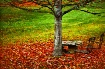 A Restful Repriev...