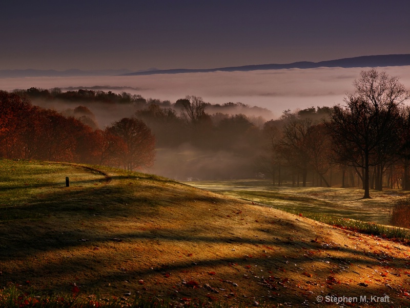 Foggy Morning