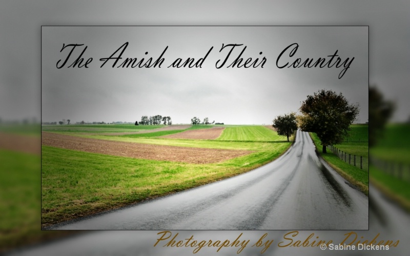 the amish and their country