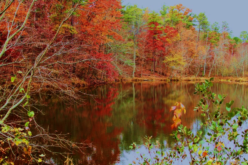 Fall colors/small pond - ID: 12522149 © J.Lamar Hicks