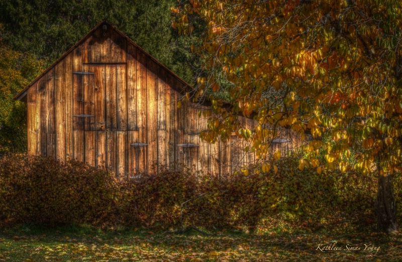 The Old Barn
