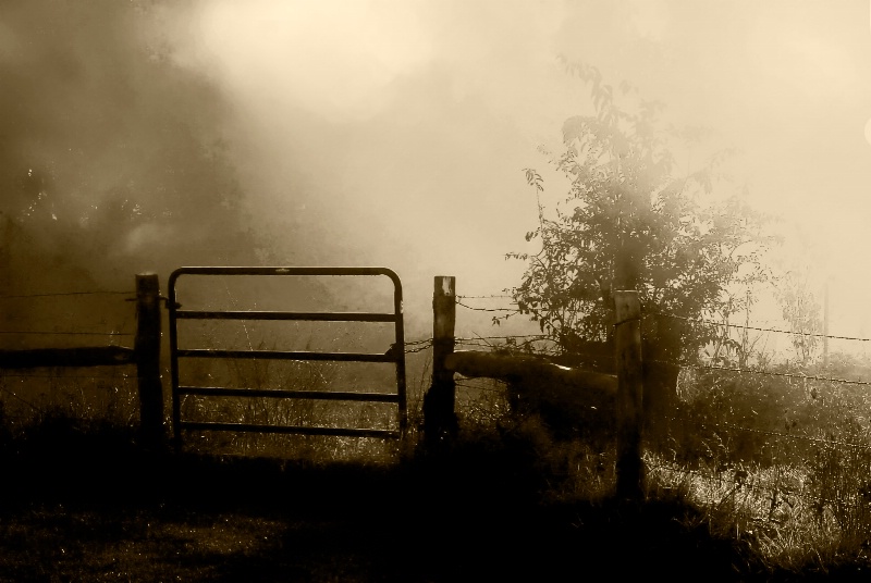 October Fog at Pasture Gate - 2011