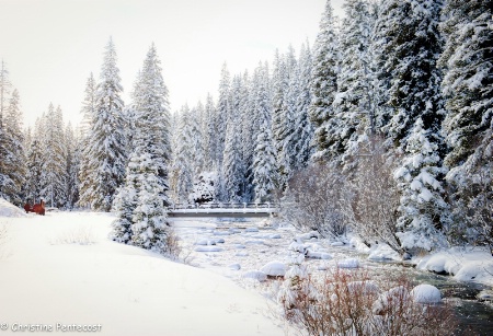 Snowy Morning in Hyalite Canyon