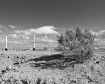 Walkabout