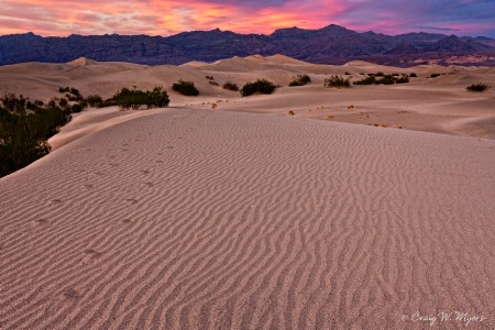 Mesquite Dunes Sunset