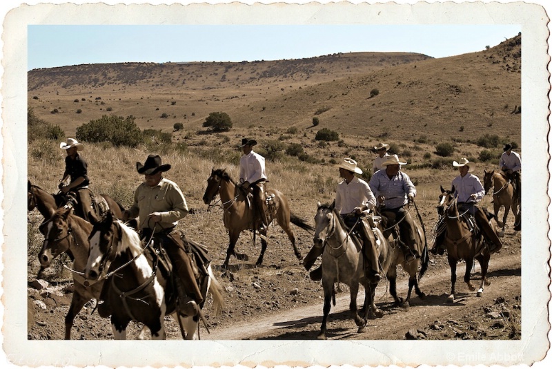 Cowboys long ride to Headquarters - ID: 12534553 © Emile Abbott