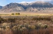 Mount McCaleb