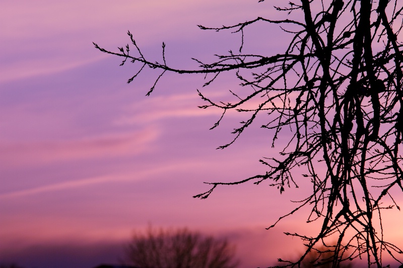 South Dakota Sunset.