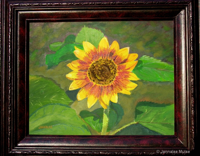 Sunflower - ID: 12536006 © Jannalee Muise