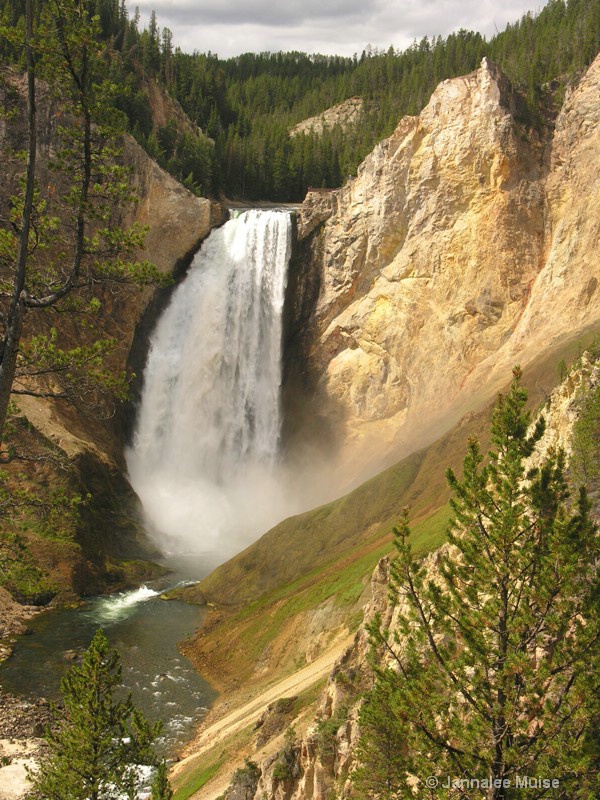 Lower Falls, Yellowstone - ID: 12536421 © Jannalee Muise