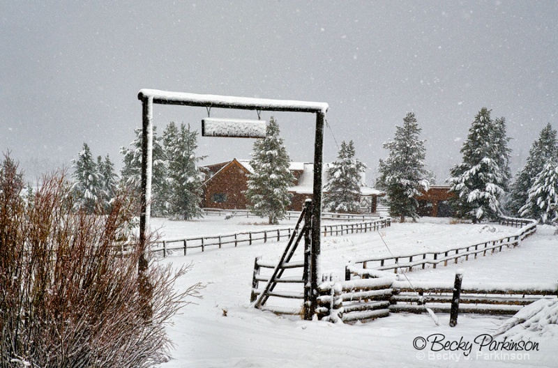 Its Snowing in the Mountains