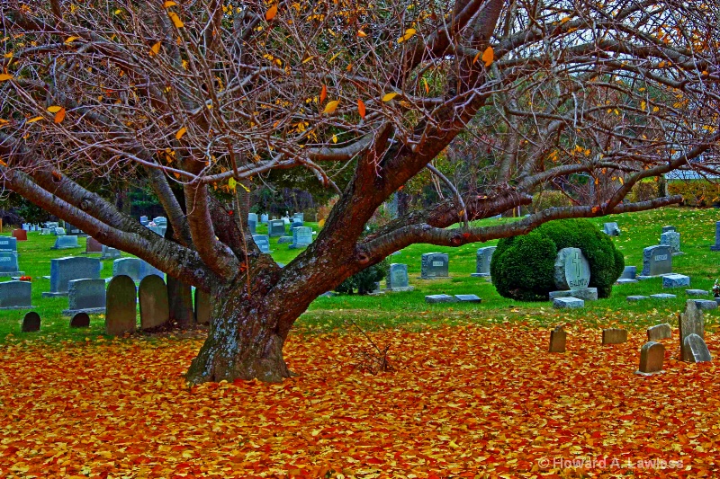 autumn graveyard 1