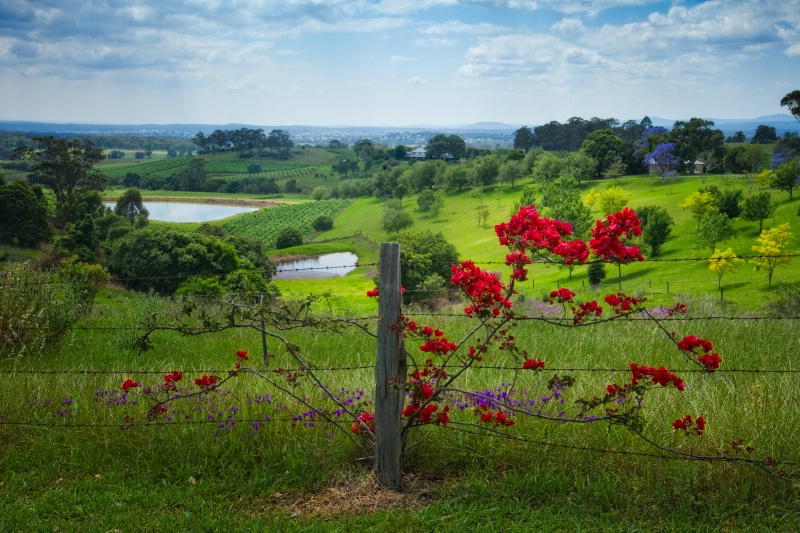 Wine Country, Australia