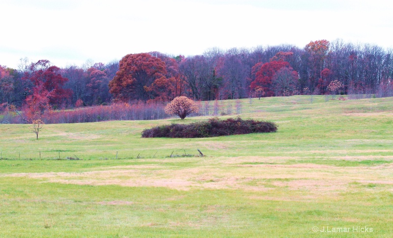 Late fall-hay field - ID: 12546340 © J.Lamar Hicks
