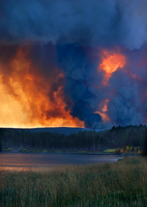 Controlled Burn - ID: 12547047 © Patricia A. Casey