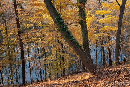 Neshaminy Creek