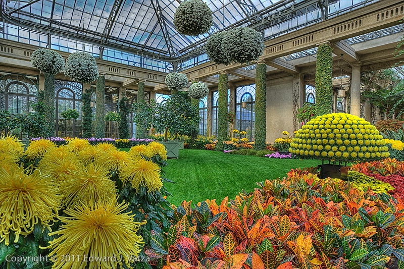 Inside the Conservatory #1