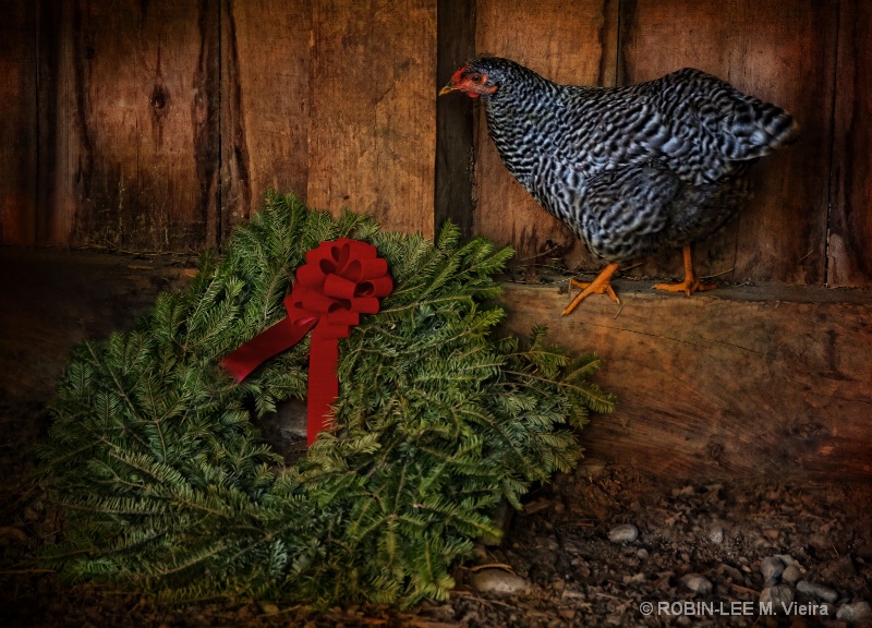 The Holiday Hen