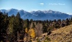 beyond the aspen