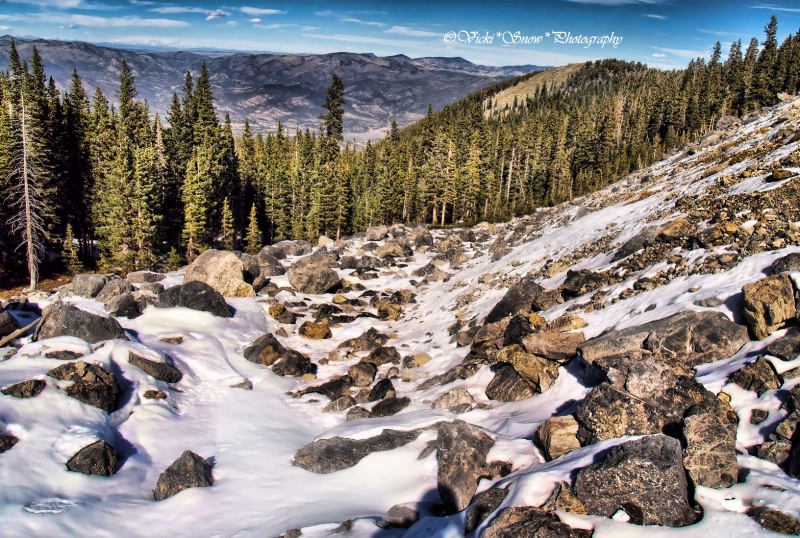 above treeline   