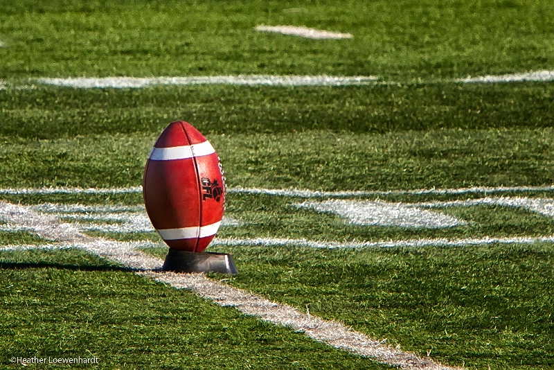 Football Fever  - CFL Grey Cup Winners