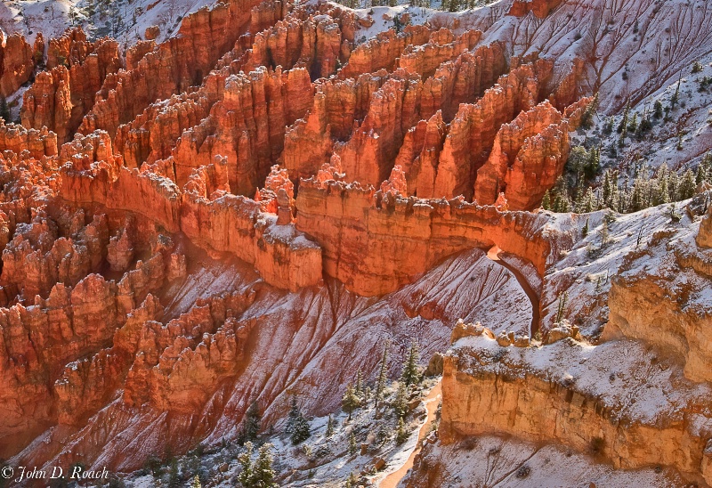 Bryce Canyon Trail - ID: 12563953 © John D. Roach