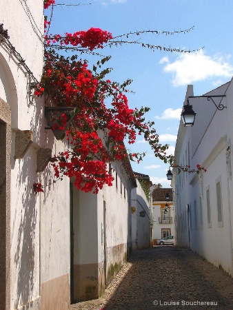 Narrow street, Portugal