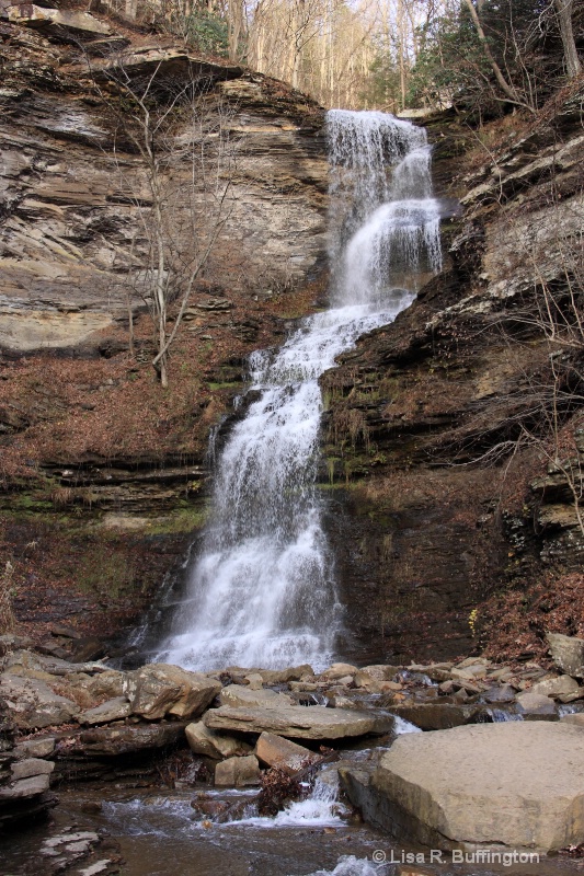 Waterfall on Gauley Mountain in WV - ID: 12567766 © Lisa R. Buffington