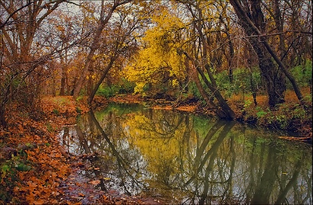 ~ LINGERING COLORS OF FALL ~