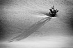 Little Tree with ...