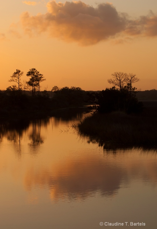 Sunset over marsh