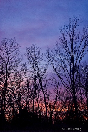 Sunset Silhouette 