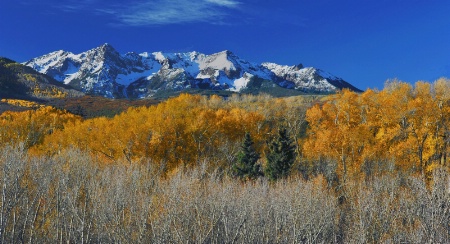 Rocky Mountain Memories