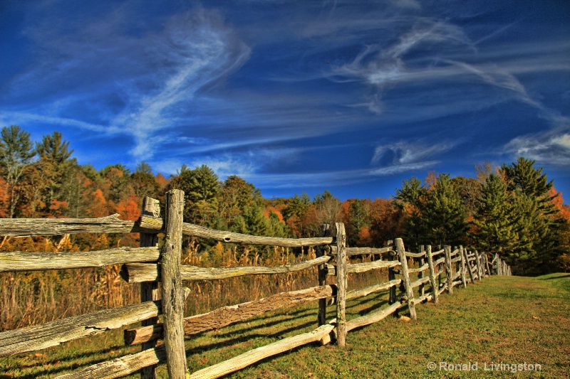 Fence Line