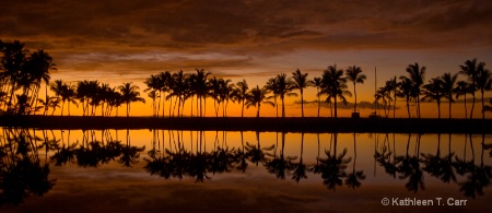 Reflected palms sunset 1038