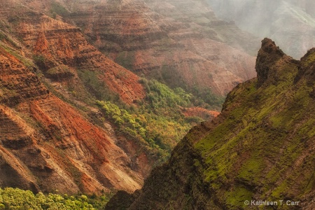 Waimea canyon,  kauai 7083