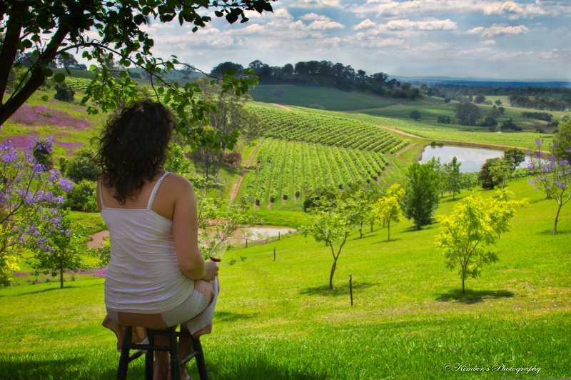 Wine with a View