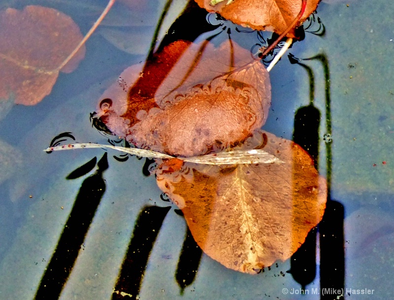 3c pond - ID: 12578050 © John M. Hassler