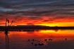 Sunrise at Bosque...