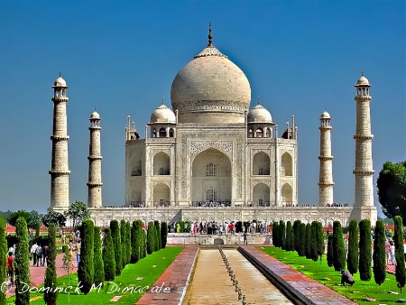 ~ ~ TAJ  MAHAL ~ ~