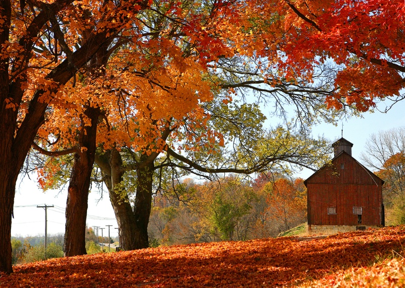 Fall on The Great River Road