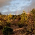 © Janice M. LeCocq PhotoID # 12584270: garden design-9