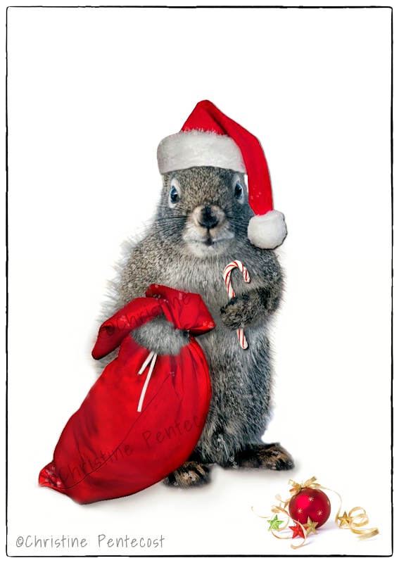 Santa Squirrel