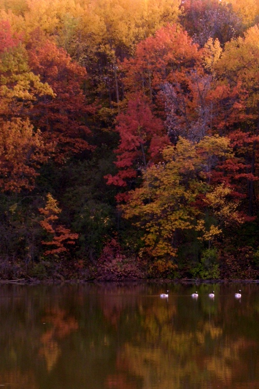 Baker Park in Fall Colors