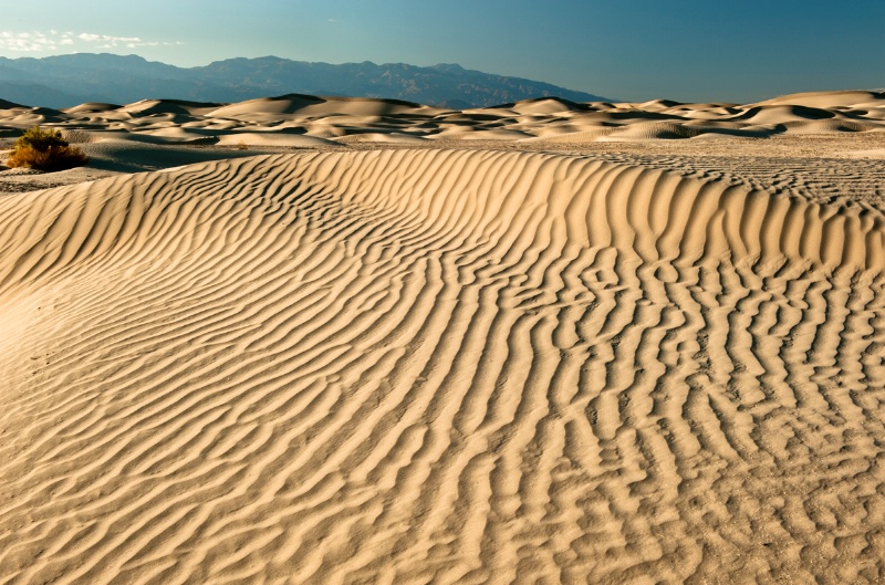 Lines on Dunes
