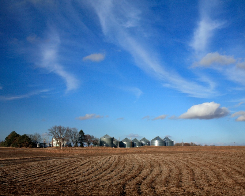 Fields, grain bins and the big sky